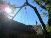crane removing tree limbs