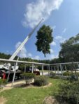 rent a crane for tree service